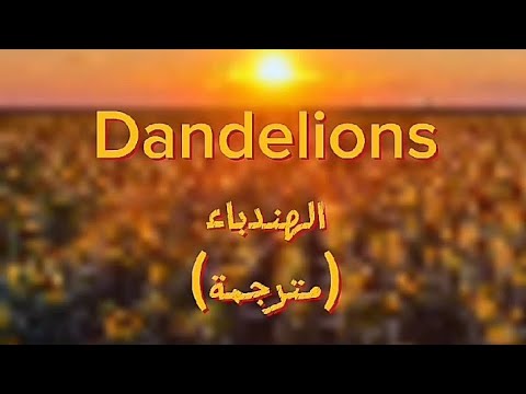    بدون موسيقى