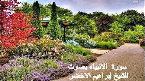 سورة الانبياء بصوت الشيخ ابراهيم الاخضر