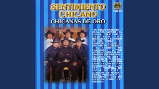 Video thumbnail of "Sentimiento Chicano - Villa del Carbón"