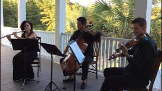 Pachelbel Canon in D for flute, violin, and cello (sample version)