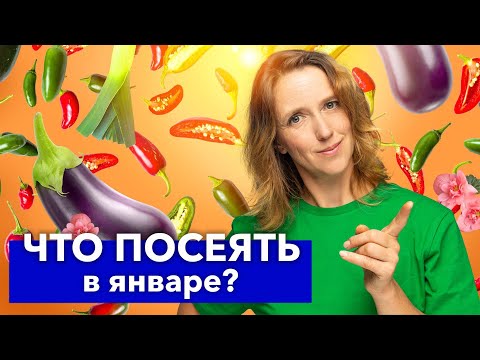 УСПЕЙТЕ ПОСЕЯТЬ ДО КОНЦА ЯНВАРЯ ПОКА НЕ ПОЗДНО! Вот какие цветы и овощи сею самыми первыми