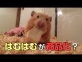 【飼い主は怒っている】ある商品ではむはむがパクられた?!