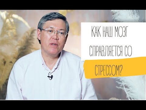 КАК НАШ МОЗГ СПРАВЛЯЕТСЯ СО СТРЕССОМ? ВЯЧЕСЛАВ ДУБЫНИН