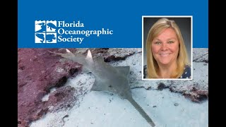 2021 Coastal Lecture Series: Florida’s Endangered Smalltooth Sawfish: Past, Present, and Future