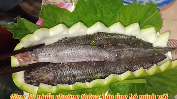 Cá lóc hấp bầu đơn giản mà ngon (linhxàmvlogg)