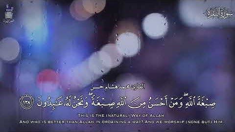 سورة البقره بصوت القارئ محمد هشام (مع قطرات المطر 🌧)