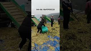 Silage baling machine, replacing traditional fermentation tanks for better fattening.#machine #baler