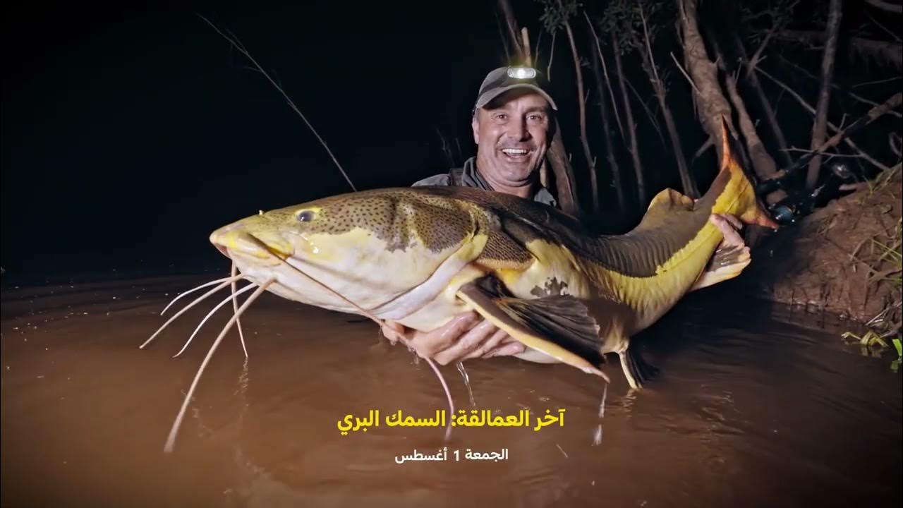  1  |  :   |   
 - 18:51-2025 / 8 / 1