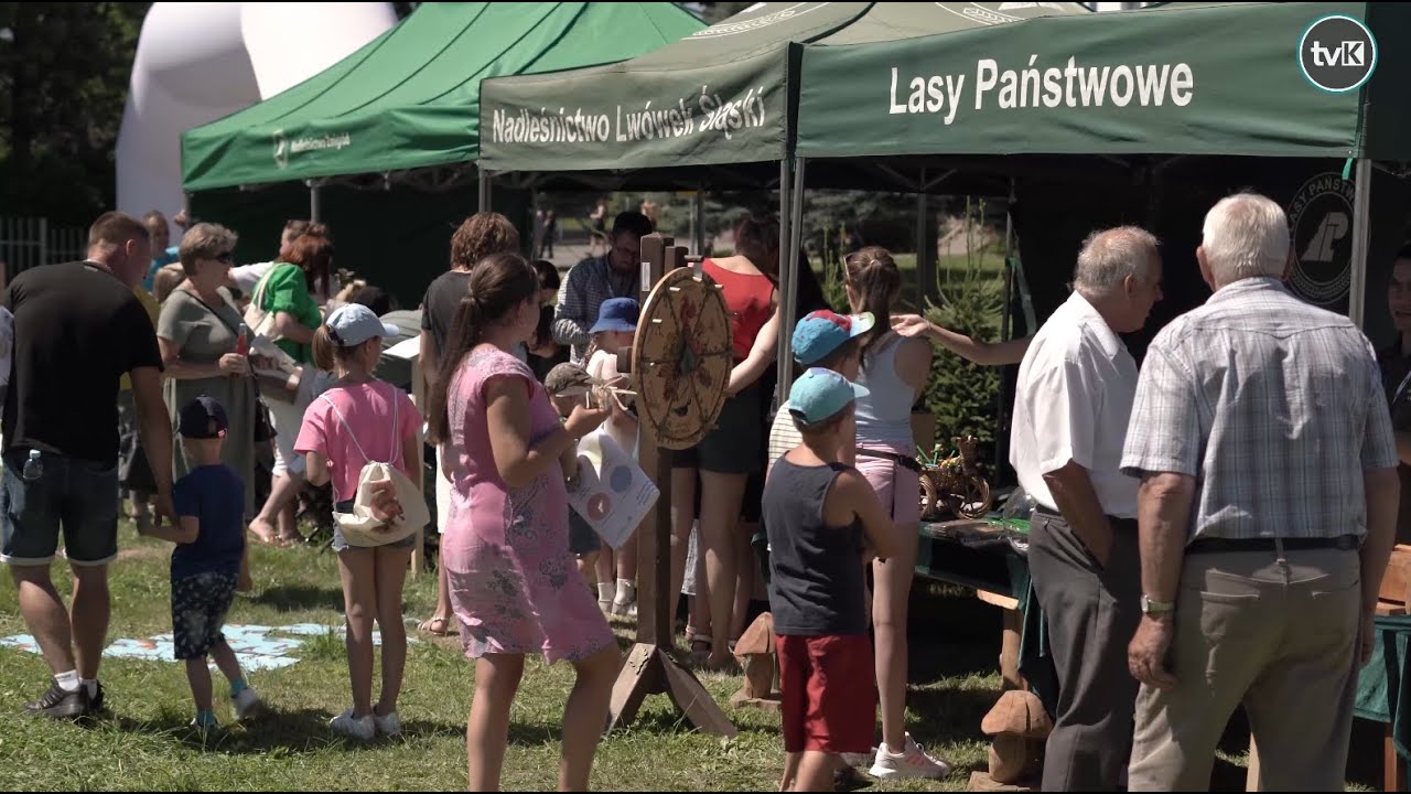 Święto Lasu w Międzylesiu