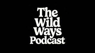 Seeking Truth Series | Proverbs Wisdom Check | The Wild Ways Podcast | Ep 2