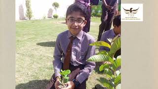 #skylark school #students # Tree plantation activity #Save environment#