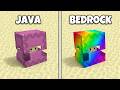 51 Minecraft Java VS Bedrock Things!