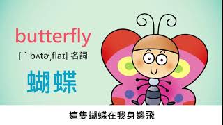 英文單字動畫－蝴蝶butterfly