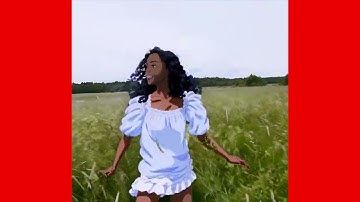 Rotoscope Test , StableDiffusion Video Render Test - Music Narkotek