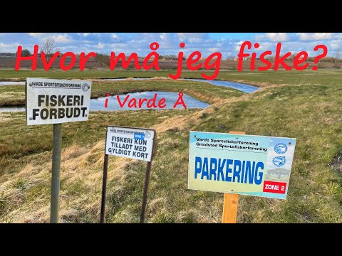 Video: Sådan Finder Du Ud Af Tekstkodningen