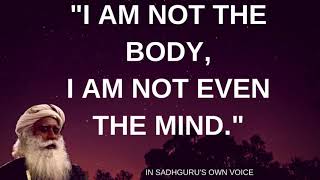 I Am Not The Body I Am Not Even The Mind - One Hour Meditation