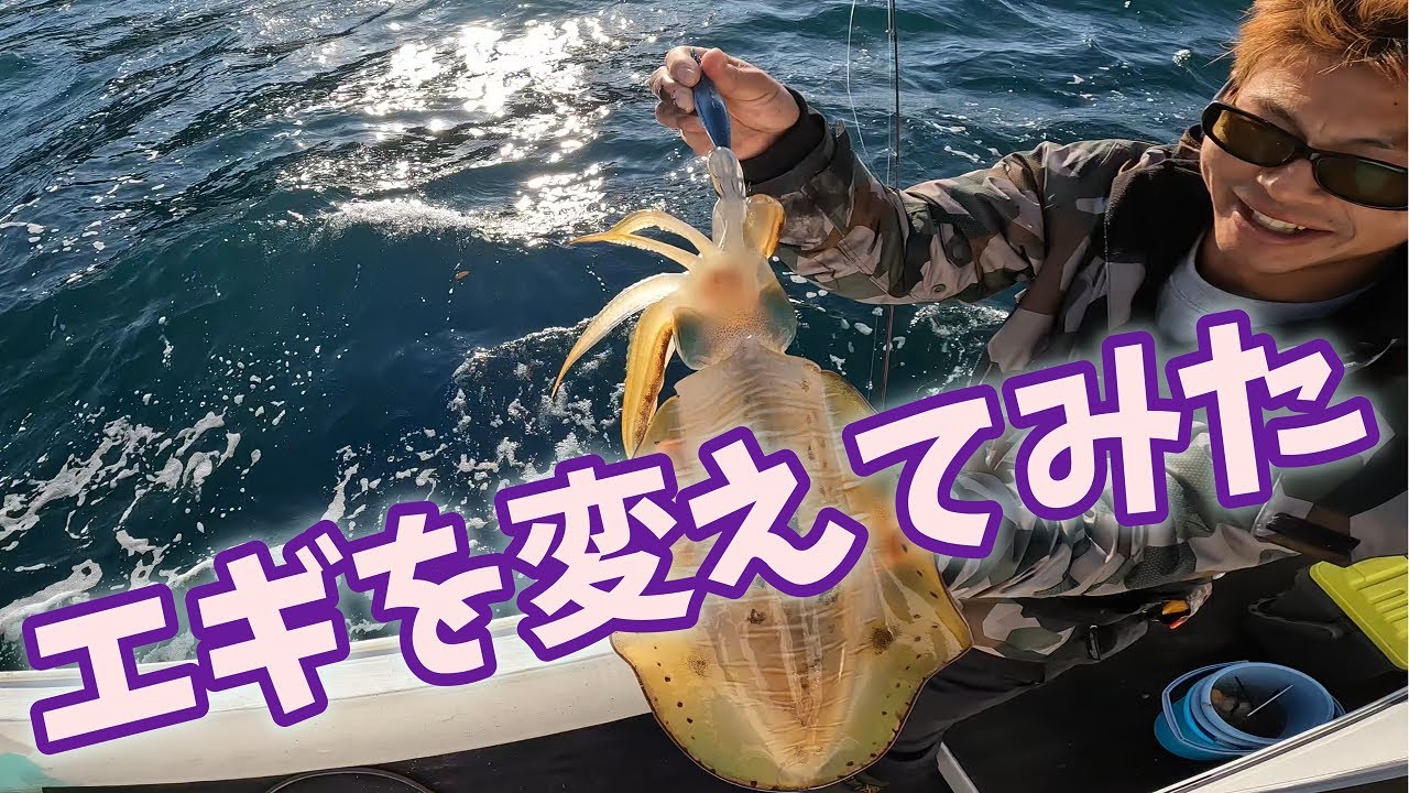 ハマチの締め方 神経締めワイヤーの選び方編 Vol 36 Youtube ハマチの締め方 神経締めワイヤーの選び方編 Vol 36 Youtube