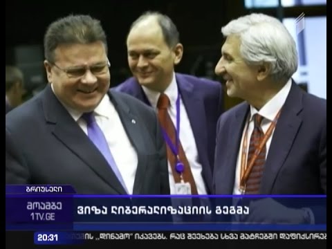 რიგის სამიტზე საქართველომ ვიზალიბერალიზაციის მხარდაჭერა უნდა მიიღოს