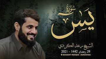 تلاوة شجية لسورة يــس " كاملة " كما لم تسمعها من قبل 🎧 | رعد الكردي | رمضان ١٤٤٢