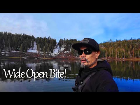 HOT BITE Rainbow Trout Fishing Twin Lakes