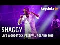 Shaggy LIVE Woodstock Festival Poland 2015 (FULL CONCERT)