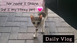 DAILY VLOG ♡ FOOD FOR STREET CATS 🐈 #viralvideo #cat #catlover #stray #pets #viral #trending #views