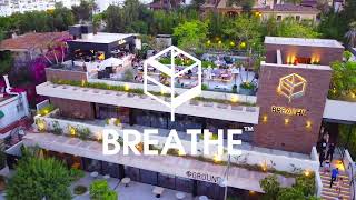 Restaurant BREATHE in Puerto Banus, Marbella