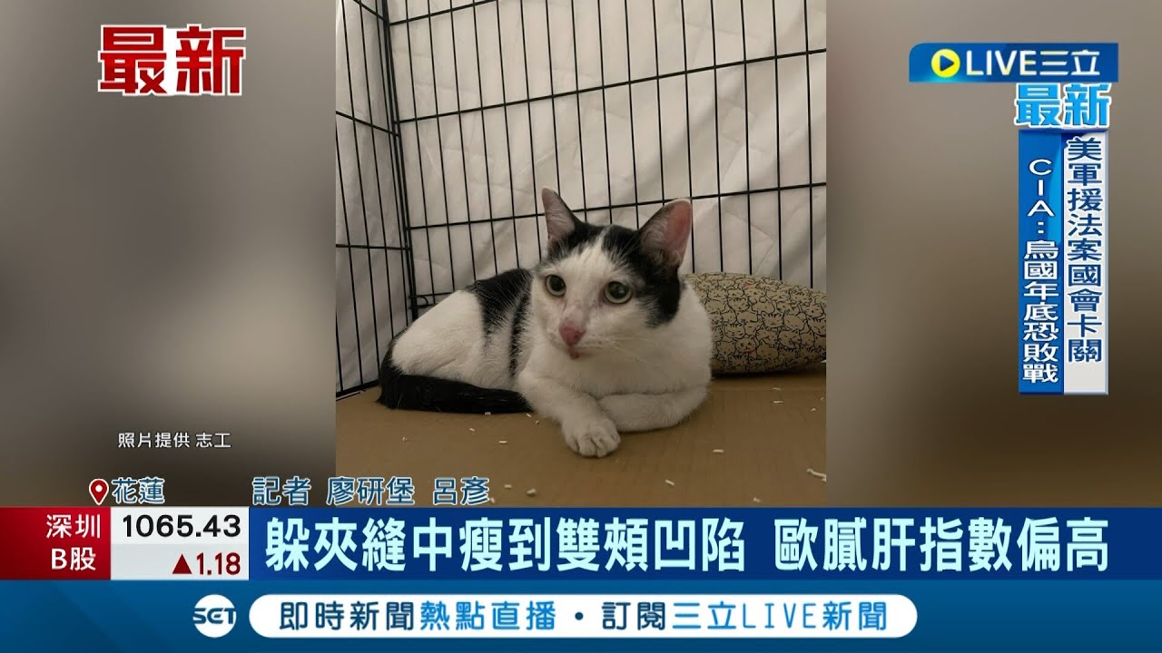 強震歷劫歸來 天王星第五隻貓