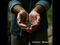 Beautifull Story in laborer