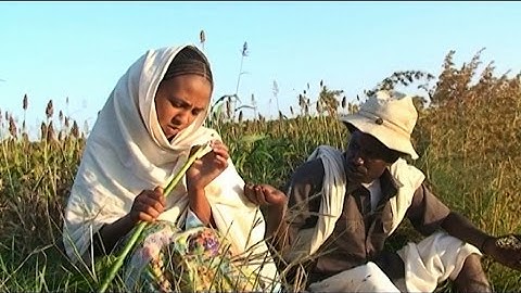 LYE.tv - Beraki Gebremedhin - Qedawitey | ቀዳዊተይ - New Eritrean Music 2015