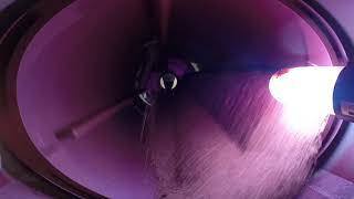 Barley Seed Processing