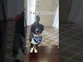 If you were born In any of these months #dog #shorts #borninmonth