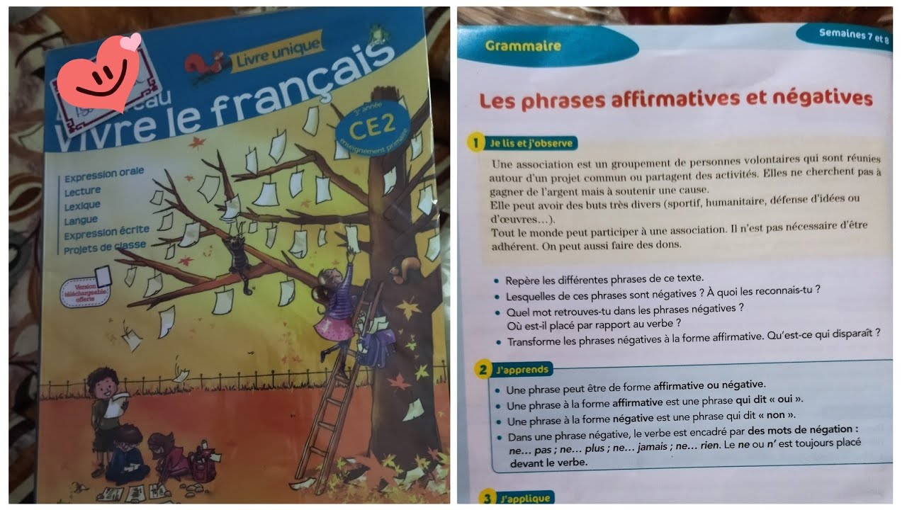 phrases affirmative et négative. Le nouveau vivre le francais CE2