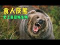 The Horrible Grizzly Bear Attack Incidentä The Man Escaped From The Grizzly Bear S Mouth The Horrible Grizzly Bear Attack Incidentä The Man Escaped From The Grizzly Bear S Mouth
