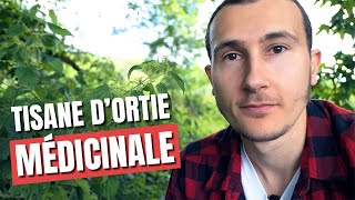 FAIRE SES TISANES D'ORTIE MÉDICINALES FACILEMENT À LA MAISON !