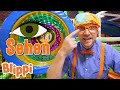 Blippi lernt die 5 Sinne | Blippi | Kinderlieder und Cartoons  | Moonbug Kids Deutsch