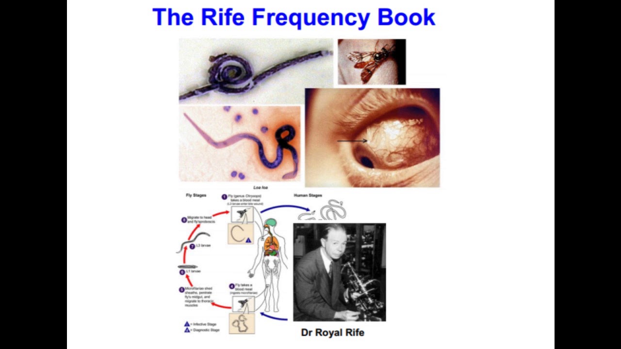 Polio Audio II Rife Book rifel