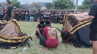 KIRAB BANTENGAN || SEKAR JAGAD CONDROSIMO || LAP. TAJINAN MLG