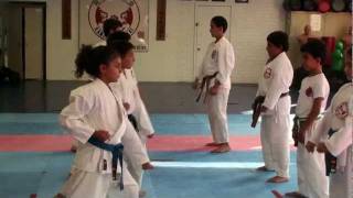 United Karate Federation