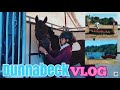 DUNNABECK // show vlog 2017