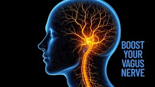 Vagus Nerve Hack: 4-6 Breathing to Lower Stress & Improve HRV