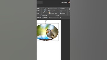 Crop a Photo into Circular Shape