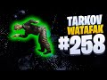 Tarkov Watafak #258 | Escape from Tarkov
