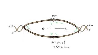 Bi directional synthesis