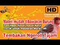 Masteran Dan Pancingan Burung Kenari Gacor Suara Hd Tembakan Pilihan Materi Mudah Dibawakan Murai Mp3 - Mp4 Download
