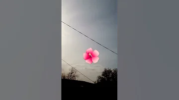 10 مارس 2025 
