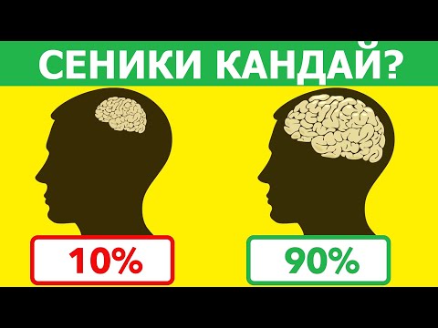 Video: Эң узун математикалык теңдеме кайсы?