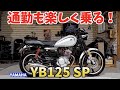通勤快速号‼️YAMAHA YB125 SP~PRIDEチャンネル.vol 332