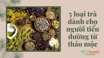 5 loại trà dành cho người tiểu đường từ thảo mộc tự nhiên