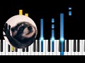 Pedro Pedro Pedro - TikTok Meme ft. Raccoon - Easy Piano Tutorial